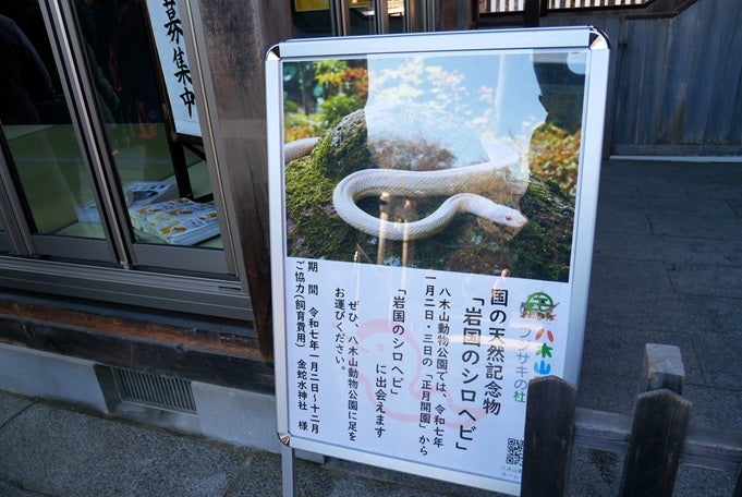 商売繁盛金運の神様!金蛇水神社へ行って来ました | 安くて 商売繁盛金運の神様!金蛇水神社へ行って来ました | 安くて