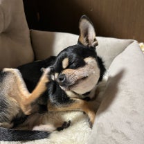ブログ投稿画像