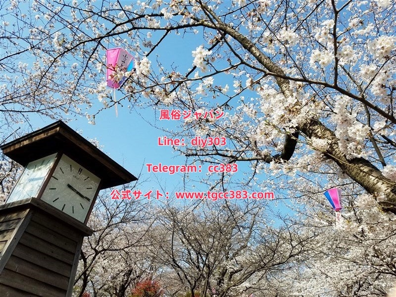 風俗ジャパン | 東京デリヘル-ホテル/自宅どちらもOK-西子デリヘル Line：diy303の記事画像