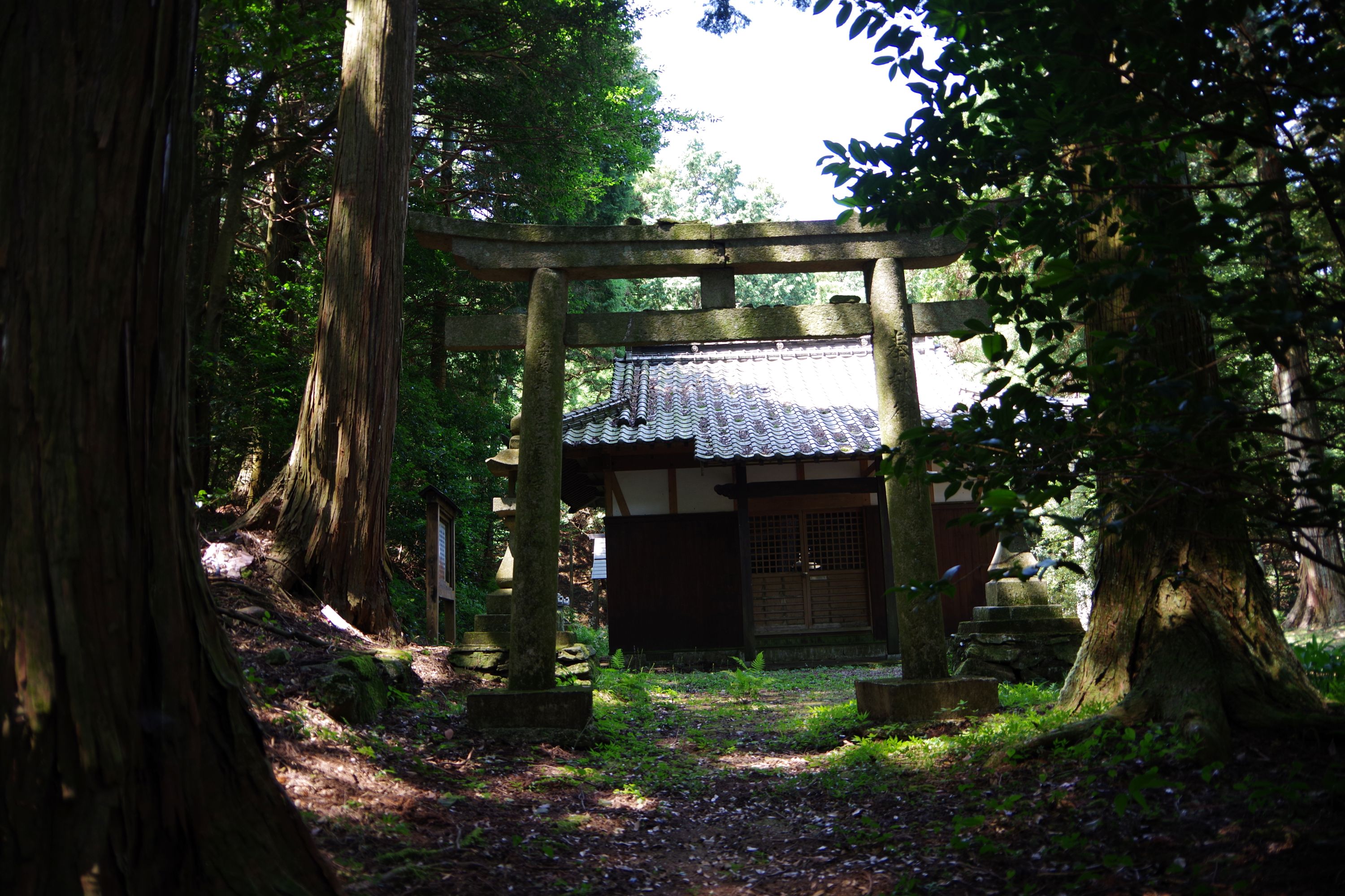 第二代綏靖天皇の御霊が元居た場所は阿波だった 井川神社その2 第二代綏靖天皇の御霊が元居た場所は阿波だった 井川神社その2