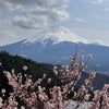 ●家族それぞれの“好き”を皆で一緒に楽しむ♪雪・梅・桜・富士山 季節も楽しめた春休みの画像