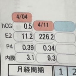 画像 【移植周期】内膜心配だったけど移植日決定!! の記事より