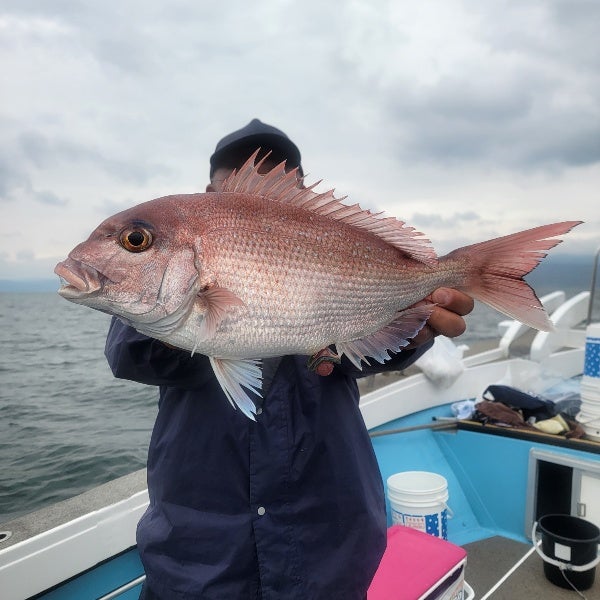 真鯛ラッシュ!鹿児島錦江湾遊漁船海晴丸 | 鹿児島 錦江湾の遊 真鯛ラッシュ!鹿児島錦江湾遊漁船海晴丸 | 鹿児島 錦江湾の遊