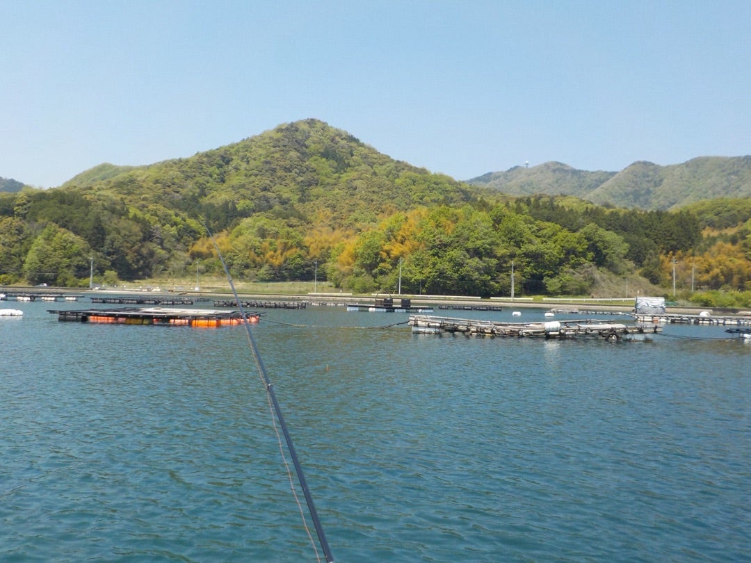 筏チヌ第2戦 | 全釣美食〜色々な釣り方で楽しく釣ったお魚を 筏チヌ第2戦 | 全釣美食〜色々な釣り方で楽しく釣ったお魚を