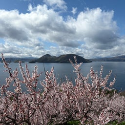 画像 桜と梅 の記事より 3つ目