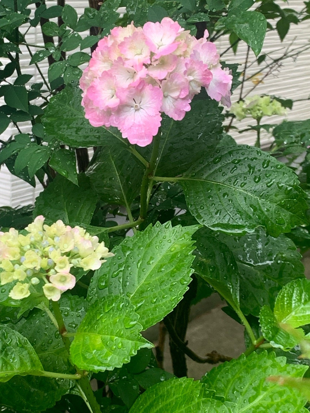 きつい時はきついと言える場所☺️の記事画像