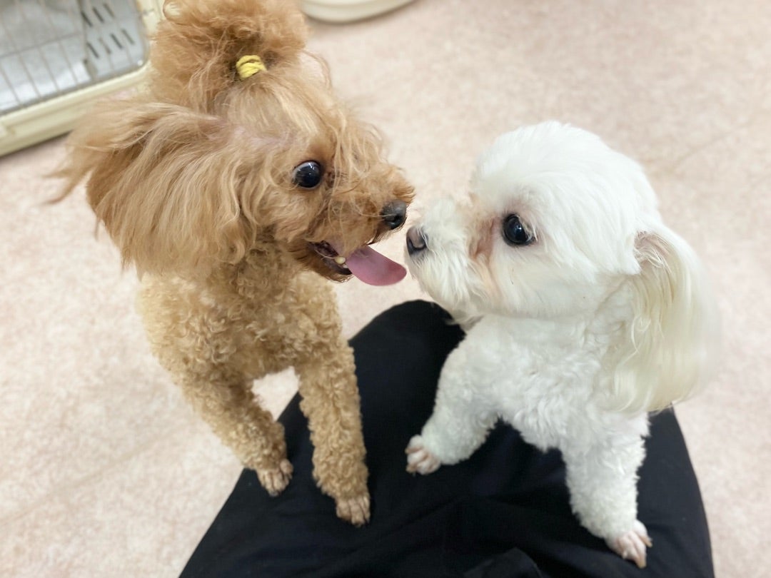 6月12日♪