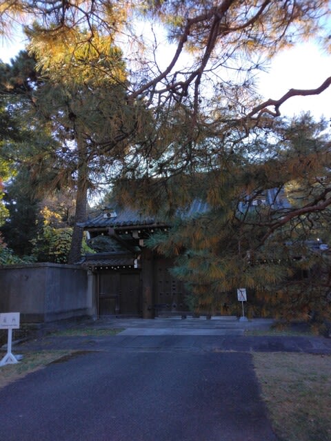 皇居乾通り見学の記事画像