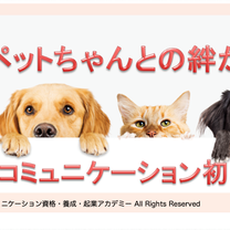 ブログ投稿画像