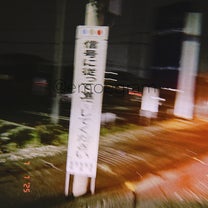 ブログ投稿画像