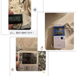 画像 【初開催】モグラたたきのようにポコポコと（笑） の記事より 5つ目