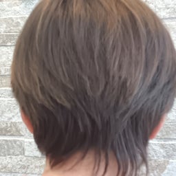 画像 昨日は冬至 の記事より 3つ目