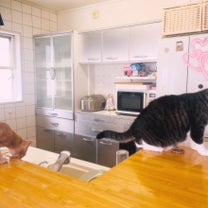 ブログ投稿画像