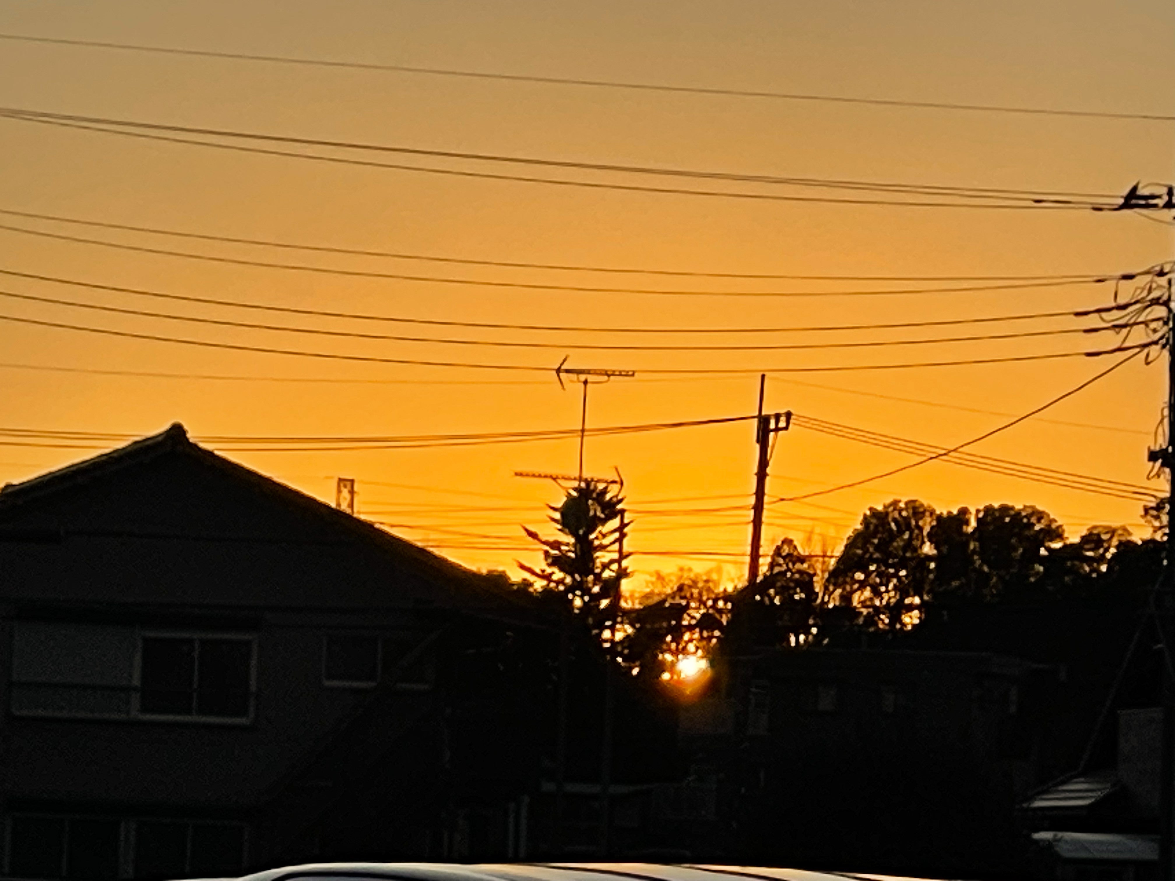 寒夕焼・寒茜 | 俳句の風景