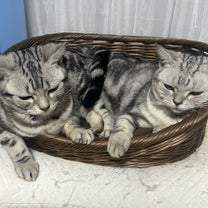 ブログ投稿画像