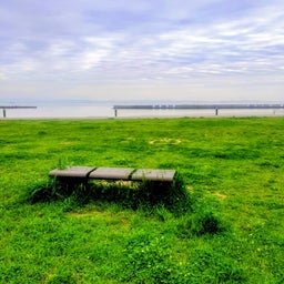 画像 花粉症に効果があった？ の記事より 1つ目