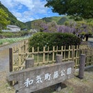 ひとり和気散歩①〜日本一の品種を誇る藤〜の記事より