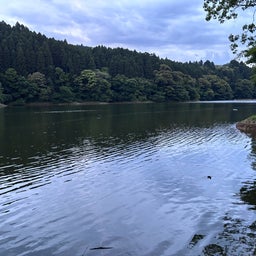 画像 なんも得るもの無し の記事より