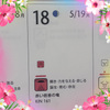 5/19  KIN161~Empower What Is Being Born Todayの画像
