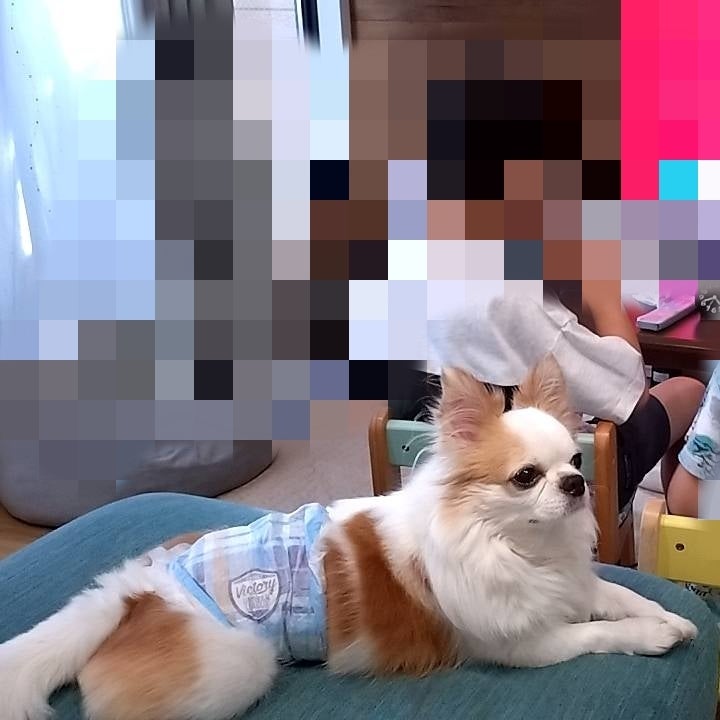 そばにいるよの記事画像