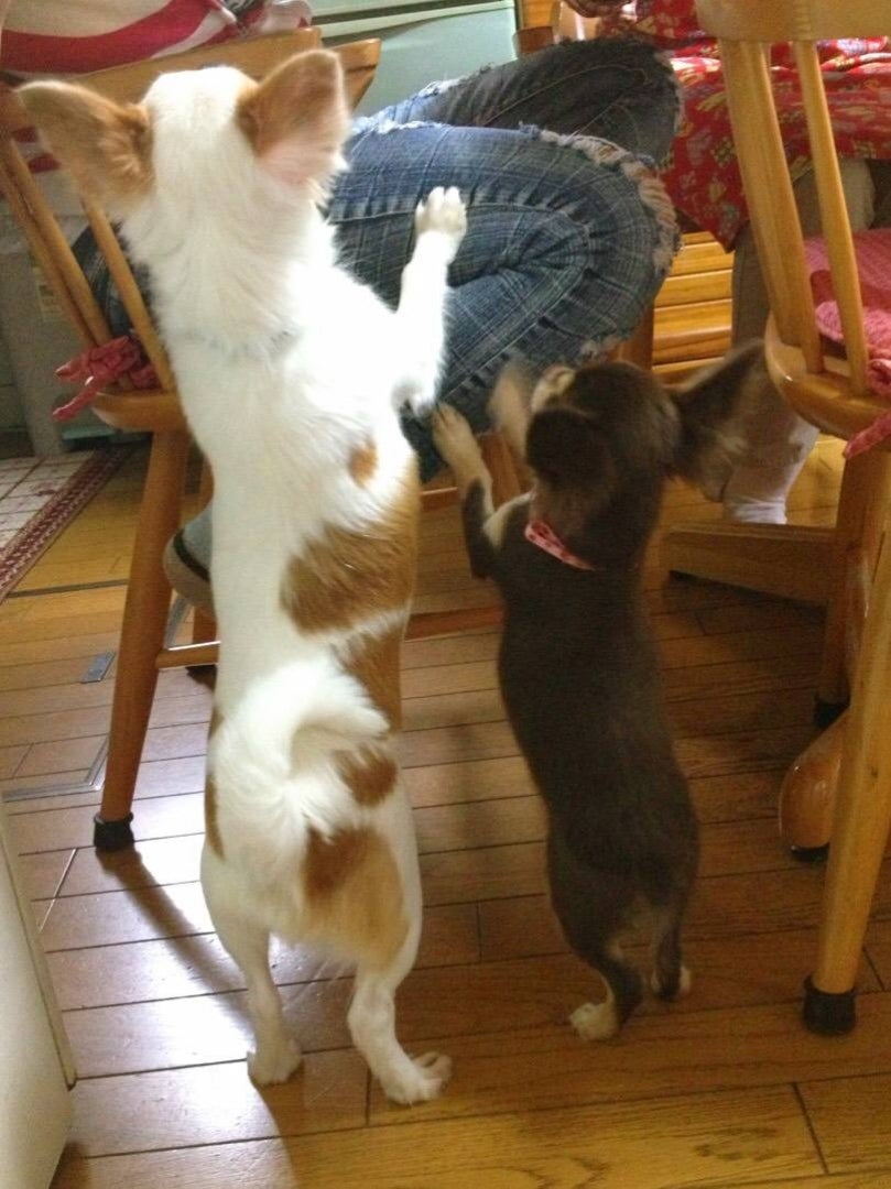 そばにいるよの記事画像
