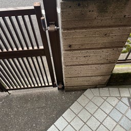 画像 15周年最初の訪問者 の記事より 1つ目