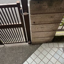 ブログ投稿画像