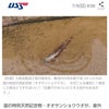 2026/06/13(土)の稼働①　#パチスロ #スロット #リール #コイン #ボーナスの画像