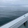 ２０２６/７/ ５　甘鯛・イサキ釣行　（阿南）の画像