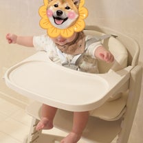 ブログ投稿画像