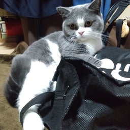 画像 イメチェンと肛門科 の記事より 5つ目