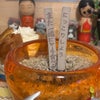 49回目　４年2ヶ月の画像