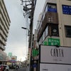 やー　やー　落ち着きました…の画像