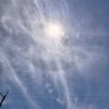 手放しの季節の画像