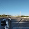 やはり早起きの画像