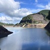 赤足クワガタの画像