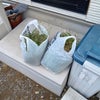 今日は…の画像