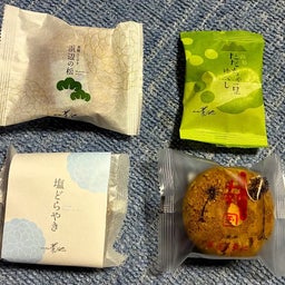 画像 昨日は酒田市へ、特急「いなほ」の５８３系色 等を撮ってきました。 の記事より 9つ目