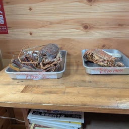 画像 俺ってミーハー♪【萬福にて大満足で満腹 編】 の記事より 31つ目