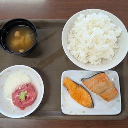 画像 続続▪️コスパ最強の朝定食に！？ぎょぎょぎょ！！【そぉんな♪まぐろの♪レストラァン～♪の編】 の記事より 11つ目