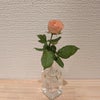 花に癒されるの画像