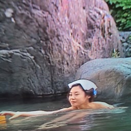 画像 松嶋菜々子さんのひまわり の記事より 4つ目