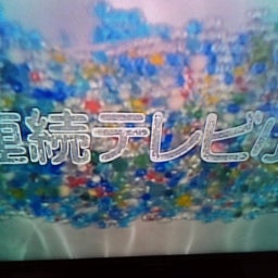 画像 松嶋菜々子さんのひまわり の記事より 8つ目