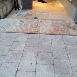 画像 今朝の地域猫 の記事より 3つ目