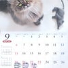 菊咲月、朔日。秋、始まるの画像