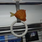 俺ってミーハー♪【日本最西端の駅にて 編】の記事より