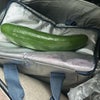 ヘチマの画像