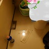 排水溝つまるの画像