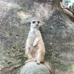 画像 智光山公園プチ吟行 の記事より 12つ目