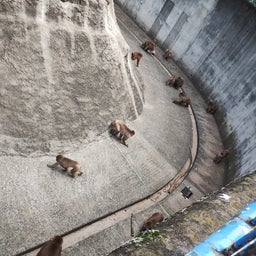 画像 智光山公園プチ吟行 の記事より 8つ目